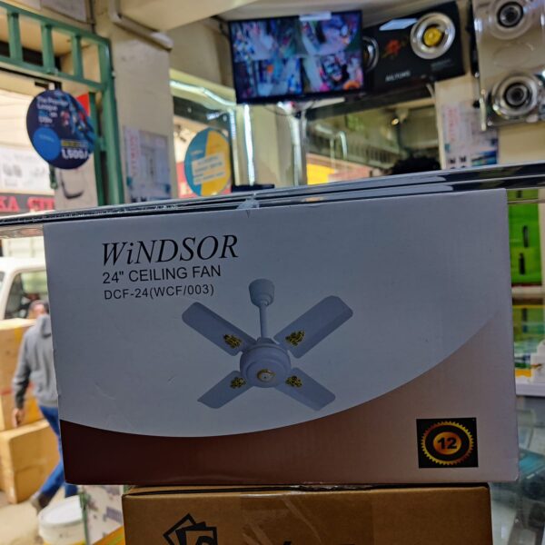 Windsor 24″ Ceiling Fan