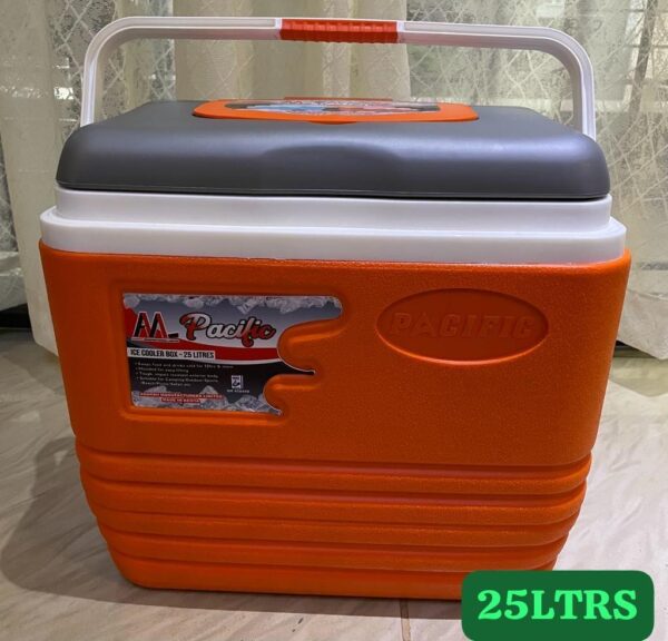 Pacific cooler box 4.5L